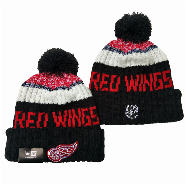 Detroit Red Wings Knit Hats 005